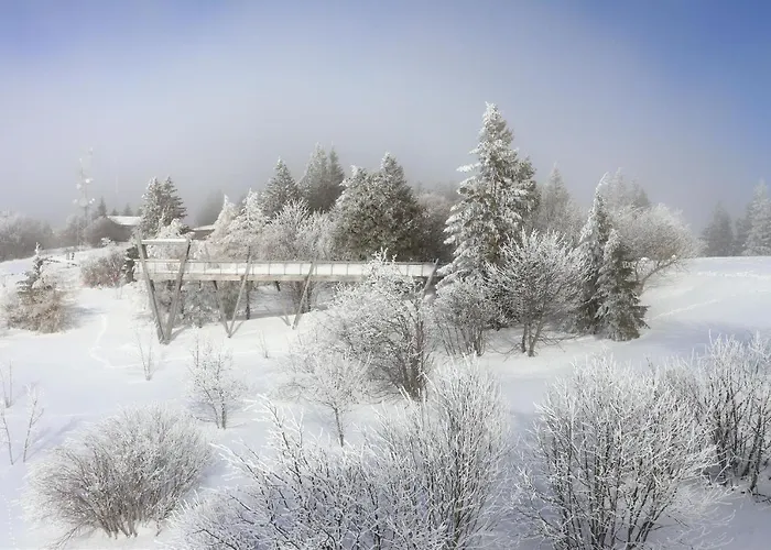 La Source Positive * エクスレバン